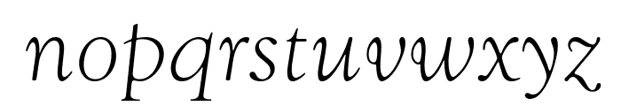 GoudySwaTLig Italic Font LOWERCASE