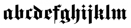 Gotisch FS Regular Font LOWERCASE