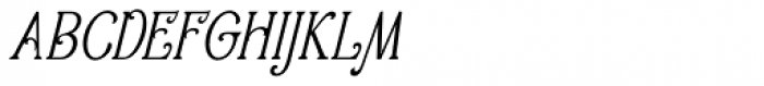 Golden Signer Serif Italic Font UPPERCASE