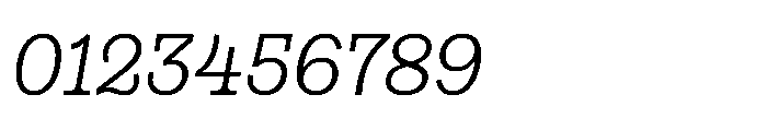 Gonzaga Book Italic Font OTHER CHARS