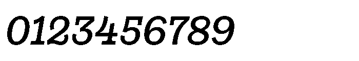 Gonzaga Medium Italic Font OTHER CHARS