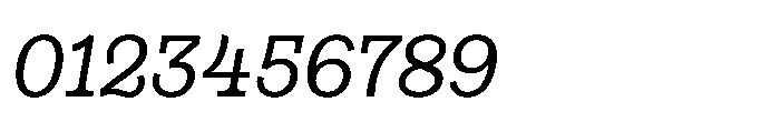 Gonzaga Regular Italic Font OTHER CHARS