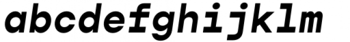 Gopher Mono Bold Italic Font LOWERCASE