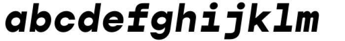 Gopher Mono Extra Bold Italic Font LOWERCASE