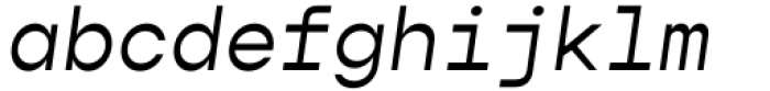 Gopher Mono Italic Font LOWERCASE