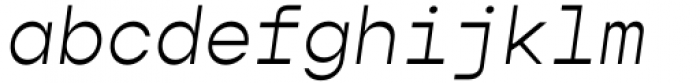 Gopher Mono Light Italic Font LOWERCASE