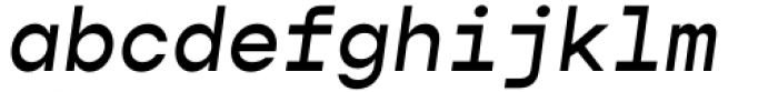 Gopher Mono Medium Italic Font LOWERCASE