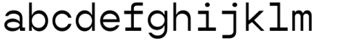 Gopher Mono Regular Font LOWERCASE
