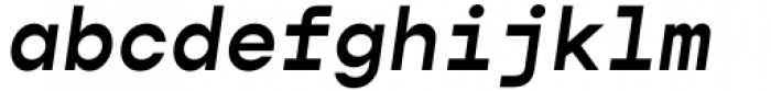 Gopher Mono Semi Bold Italic Font LOWERCASE