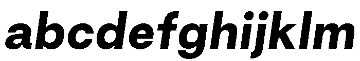 GoodSansText BlackItalic FONT