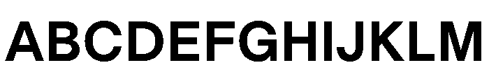 GoodSansText Bold Font UPPERCASE