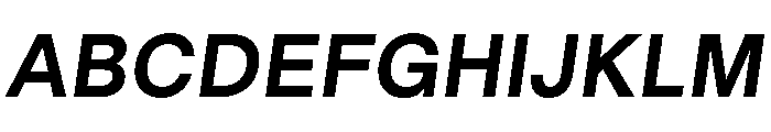GoodSansText BoldItalic Font UPPERCASE