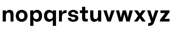 GoodSansText Bold Font LOWERCASE