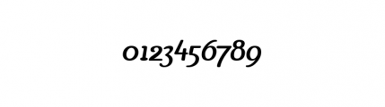 Gopal Regular Italic Font OTHER CHARS