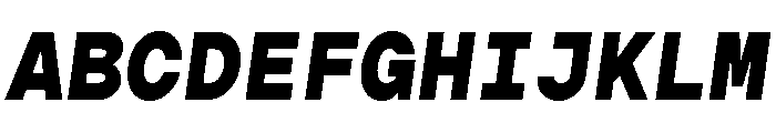 Gopher Mono Black Italic Font UPPERCASE