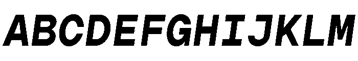 Gopher Mono Bold Italic Font UPPERCASE