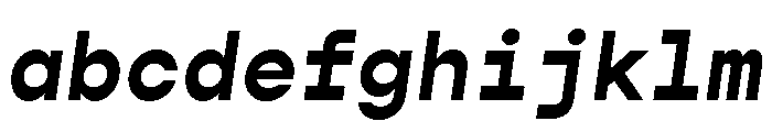 Gopher Mono Bold Italic FONT