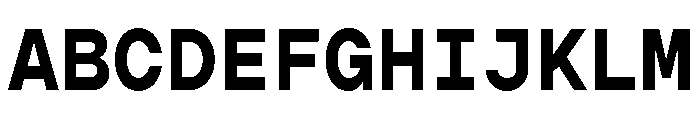Gopher Mono Bold Font UPPERCASE