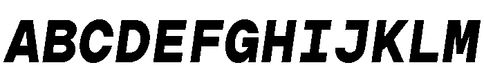 Gopher Mono Extra Bold Italic Font UPPERCASE
