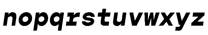 Gopher Mono Extra Bold Italic Font LOWERCASE
