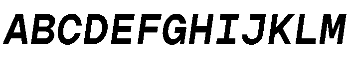 Gopher Mono Semi Bold Italic Font UPPERCASE