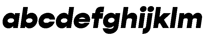 Gopher Text Heavy Regular Italic FONT