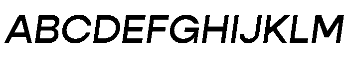 Gopher Text Medium Italic Font UPPERCASE