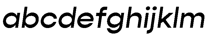 Gopher Text Medium Italic FONT