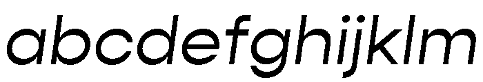 Gopher Text Regular Italic FONT