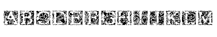 Goudy Initials Flora Font UPPERCASE