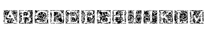 Goudy Initials Flora FONT