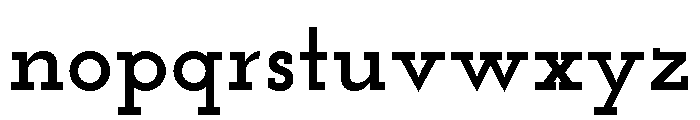 Gridlite Pe Variable Bold Font LOWERCASE