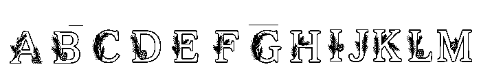 Grall Regular FONT