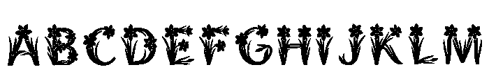 Granite_flecked Regular FONT
