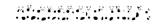 Gray Cat FONT