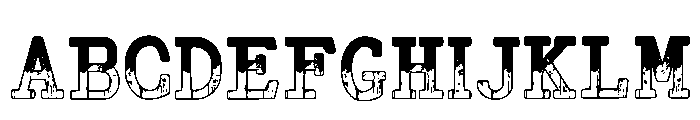 Grunge Black Regular FONT