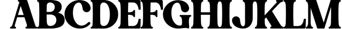 Grand Royal - Luxury Serif Font 1 Font UPPERCASE