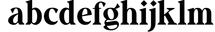 Gravity Wanders - Stylish Bold Serif Font LOWERCASE