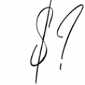 Great Alexa Signature Font Font OTHER CHARS