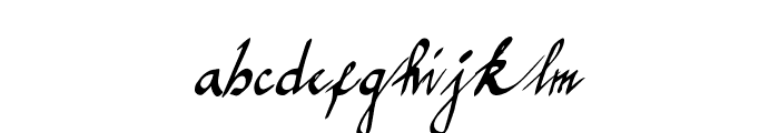 gracefulregular Font LOWERCASE