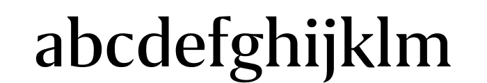 GRIFO S MEDIUM Font LOWERCASE