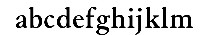 GranjonLTStd-Bold Font LOWERCASE
