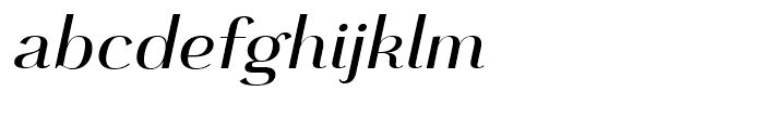 Grenale Normal Medium Italic Font LOWERCASE