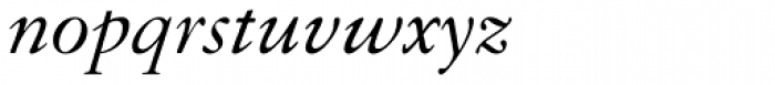 Granjon Italic Font LOWERCASE
