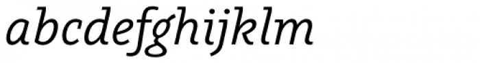Graublau Slab Italic Font LOWERCASE