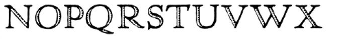 Greko Roman Oldstyle Font LOWERCASE