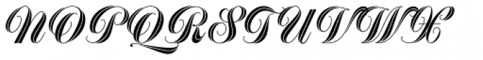 Greyton Script Std Font UPPERCASE