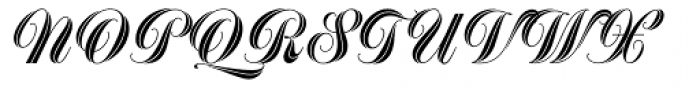 Greyton Script Font UPPERCASE