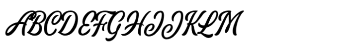 Grunce Coasten Script Font UPPERCASE