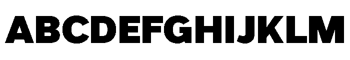 Grey Sans Black Font UPPERCASE